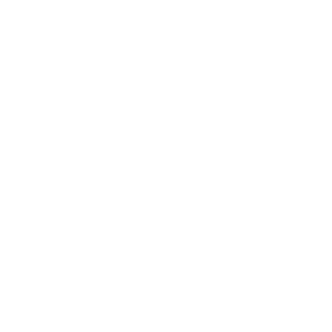 GEEVO-04